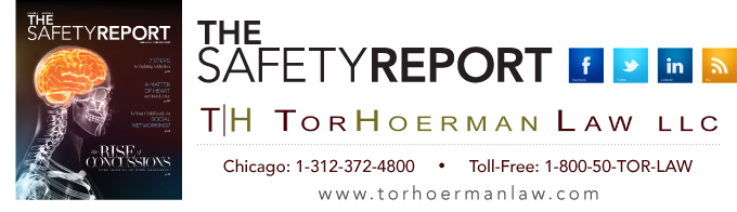 The Safety Report